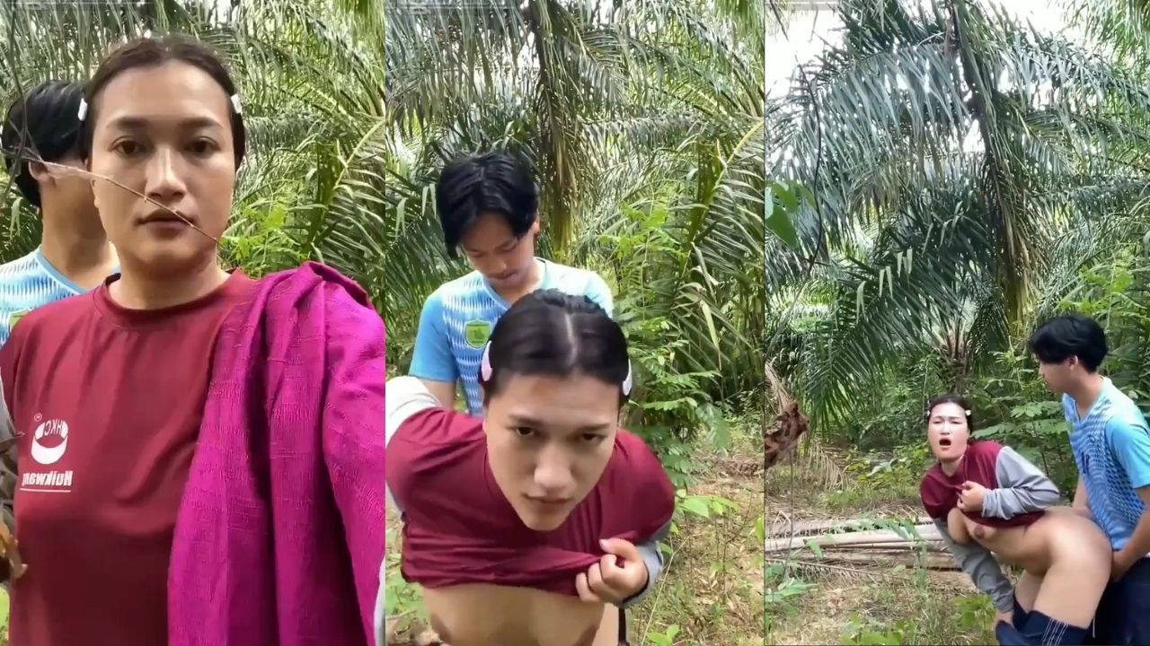 Bokep Indo Ibu Tiri dan Anak Tiri Ngewe Di Kebun Sawit